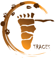 TRACES LOGO