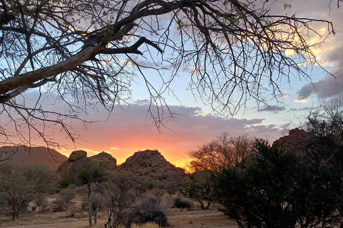 Couché de soleil dans le bush