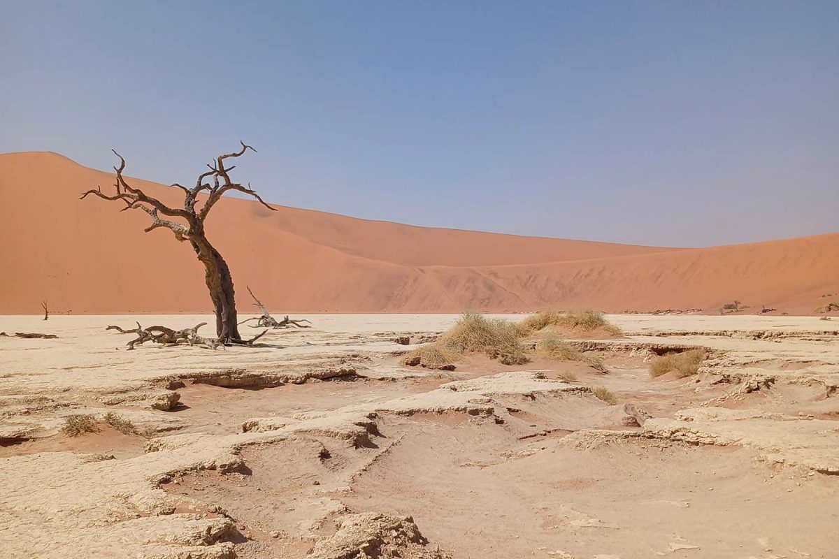 Deadvlei Désert du Namib