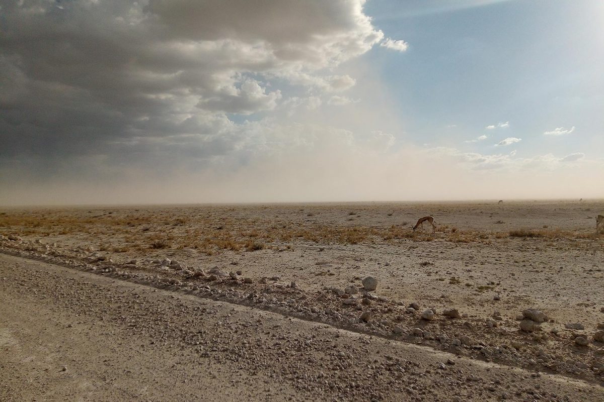 Etosha pan