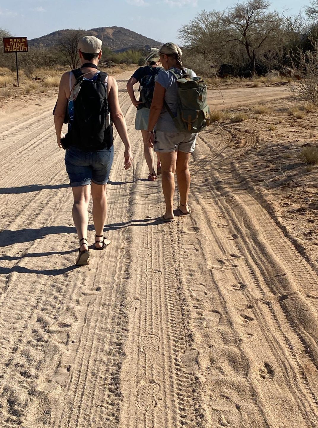 Marche dans le bush