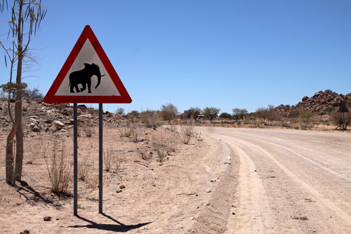 Panneau éléphant